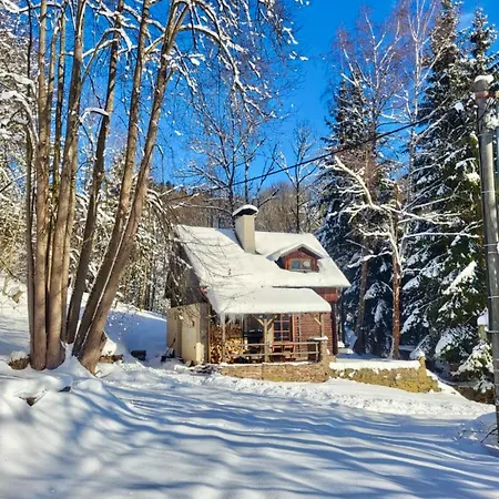 Srub V Bolkovskem Udoli Villa Rudník Exterior photo