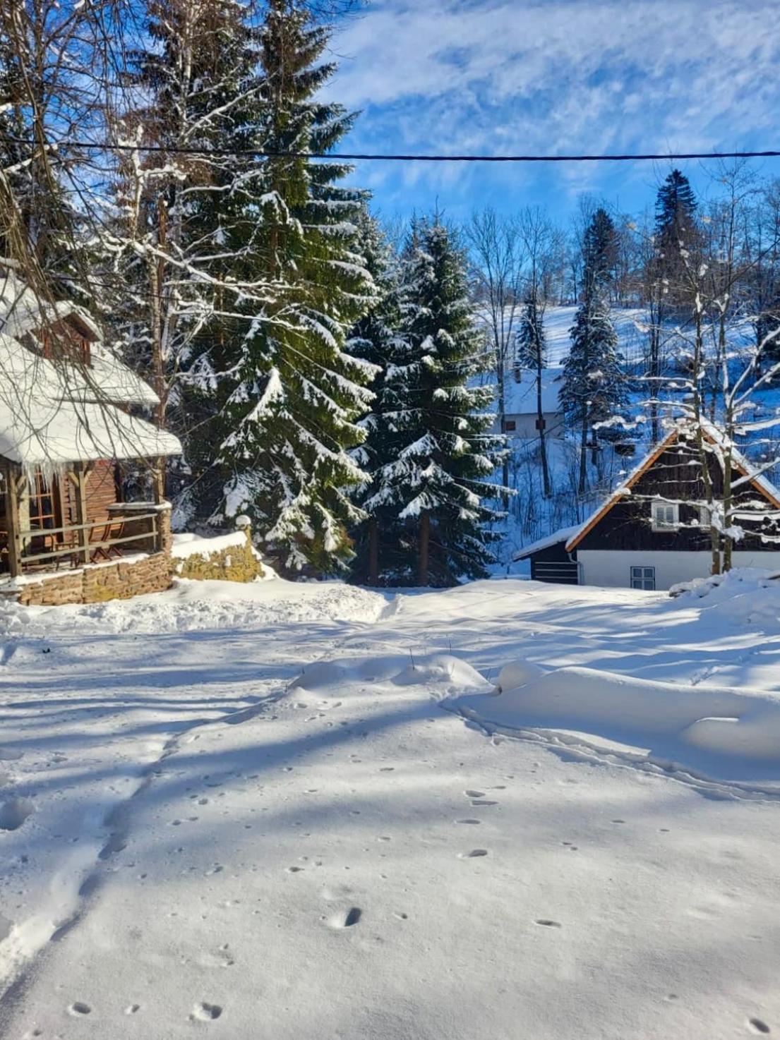 Hébergement de vacances Srub V Bolkovskem Udoli Rudník